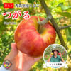 ◆予約商品◆【訳あり】つがる🍎2024年9月上旬頃～発送｜りょうま農園