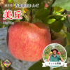 ◆予約商品◆【贈答用】美丘🍎2024年11月中旬～発送｜りょうま農園