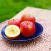 ◆予約商品◆【贈答用】極上蜜入り✨こうとく🍎2024年11月末〜発送｜相馬克彦りんご園※送料込 - 画像 (2)