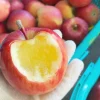 ◆予約商品◆【贈答用】極上蜜入り✨こうとく🍎2024年11月末〜発送｜相馬克彦りんご園※送料込 - 画像 (3)