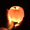 ◆予約商品◆【贈答用】極上蜜入り✨こうとく🍎2024年11月末〜発送｜相馬克彦りんご園※送料込 - 画像 (9)