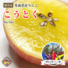 ◆予約商品◆【贈答用】極上蜜入り✨こうとく🍎2024年11月末〜発送｜相馬克彦りんご園※送料込